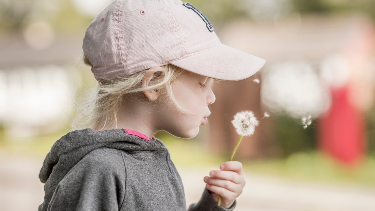 En flicka som blåser på en maskros